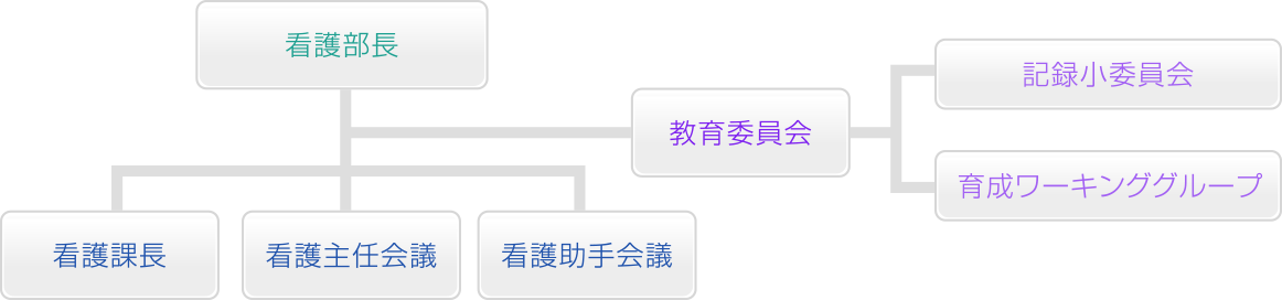 大分県宇佐市「宇佐高田医師会病院」／看護部の人材育成・看護部委員会組織体制